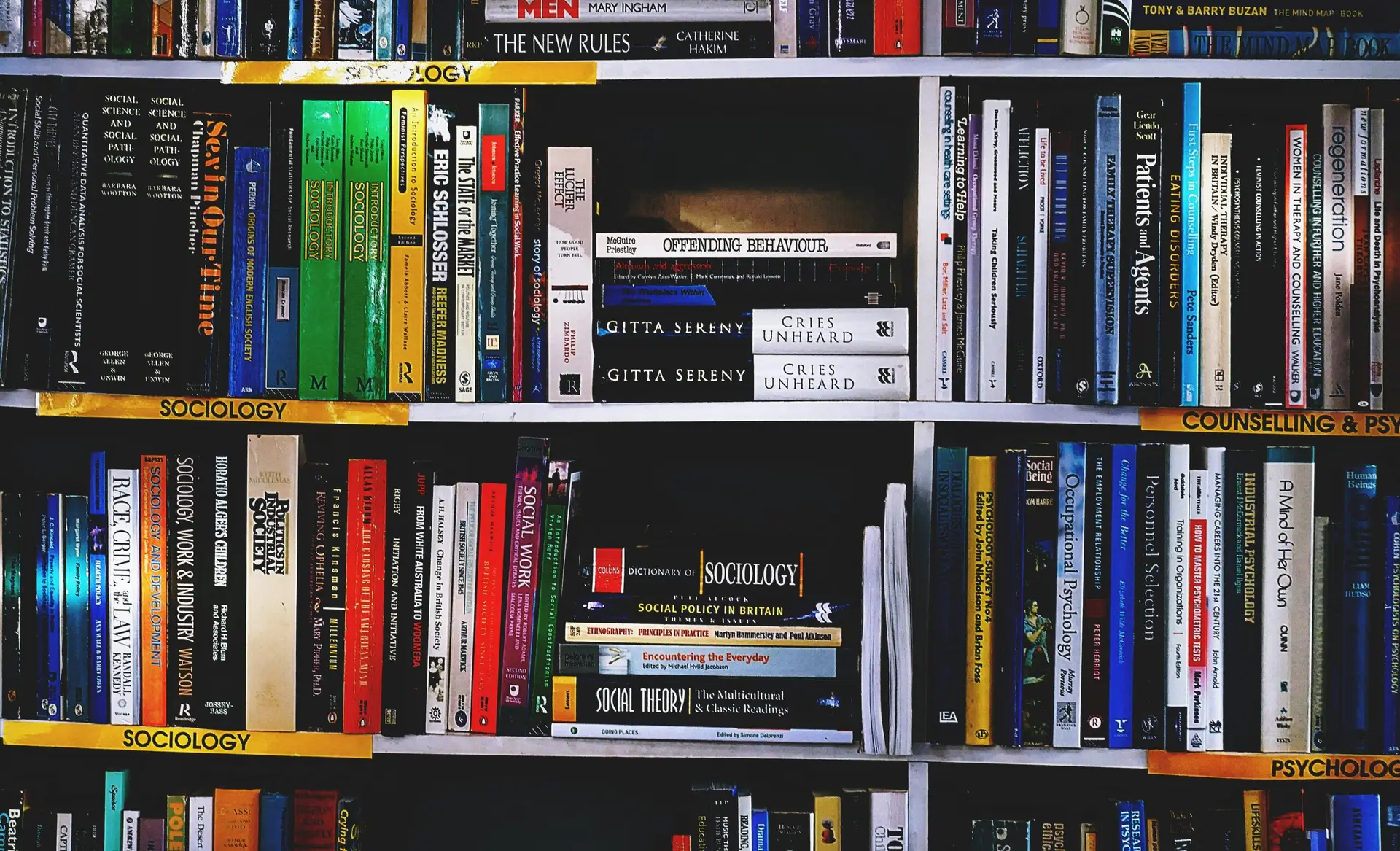 A vibrant collection of sociology books on a well-organized bookshelf.