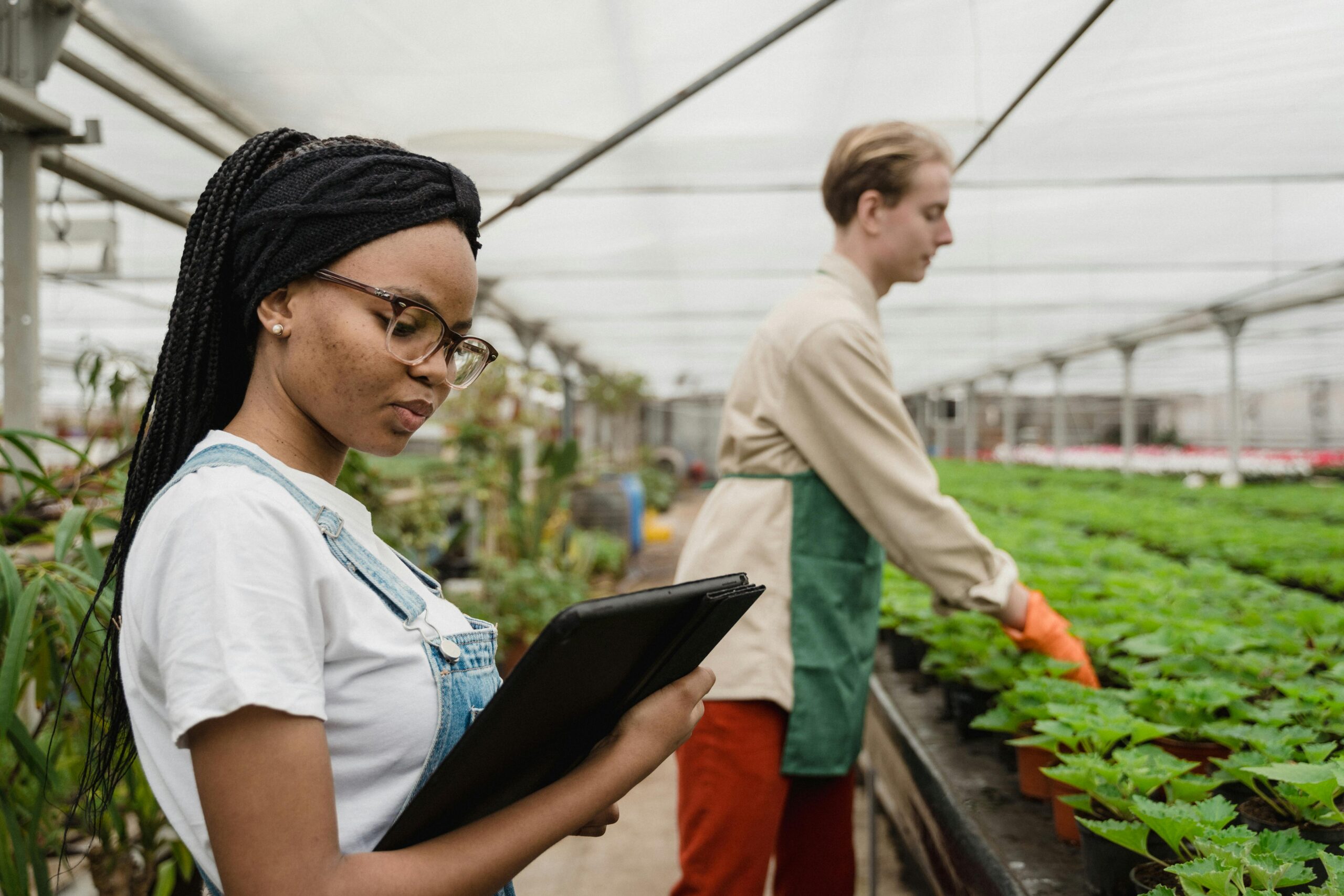 Two people engaged in plant care and technology in a greenhouse setting.