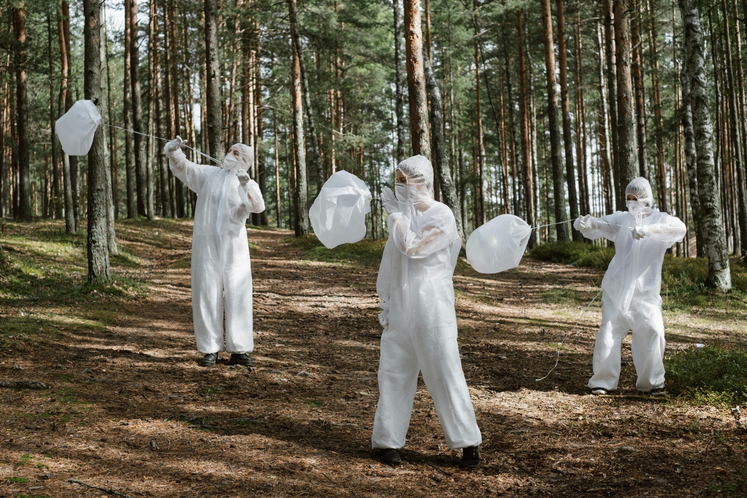 Three scientists in protective suits study environmental conditions in a forest.
